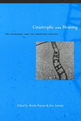Moishe Postone, Eric L. Santner - Catastrophe and Meaning, Häftad. Tillgänglighet: Tillfälligt slut
