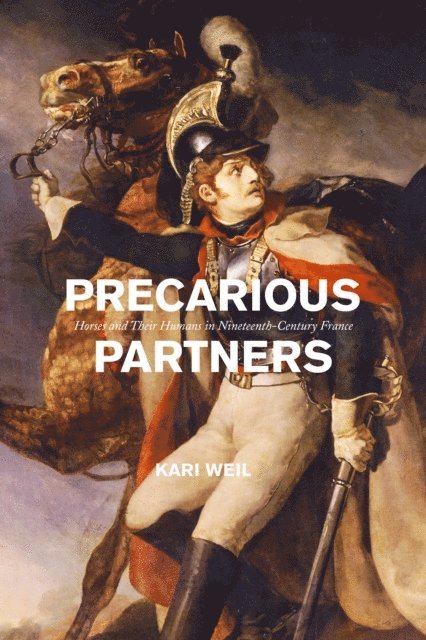 Kari Weil - Precarious Partners, E-bok