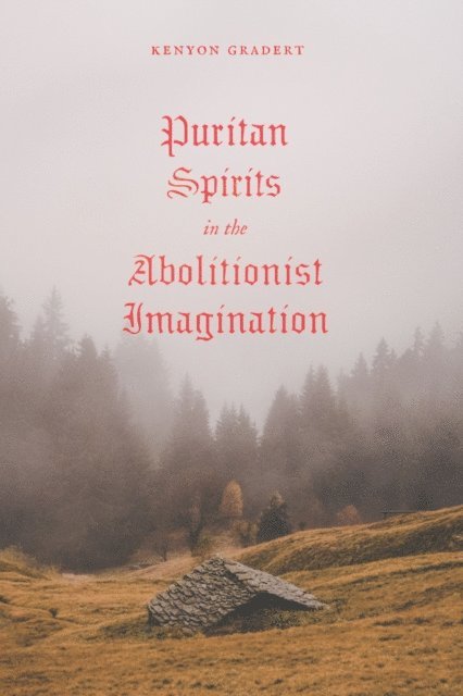 Kenyon Gradert - Puritan Spirits in the Abolitionist Imagination, E-bok