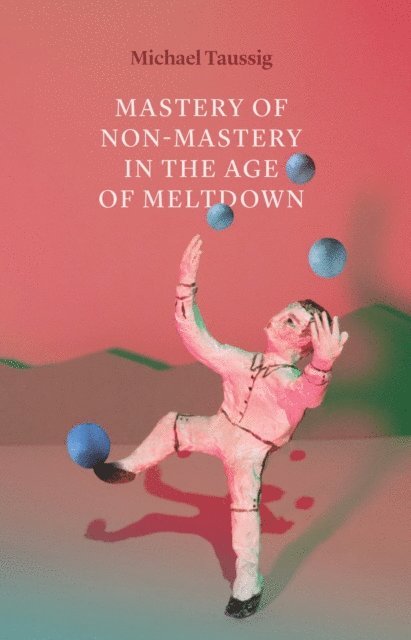 Michael Taussig - Mastery of Non-Mastery in the Age of Meltdown, E-bok