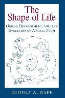 Rudolf A. Raff - Shape of Life, Häftad. Tillgänglighet: Lägg i varukorg