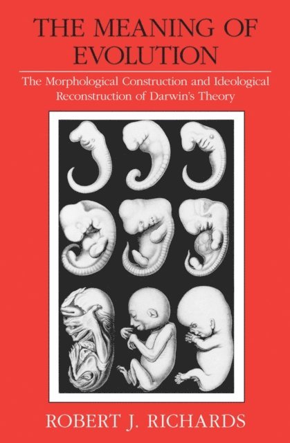 Robert J. Richards - Meaning of Evolution, E-bok