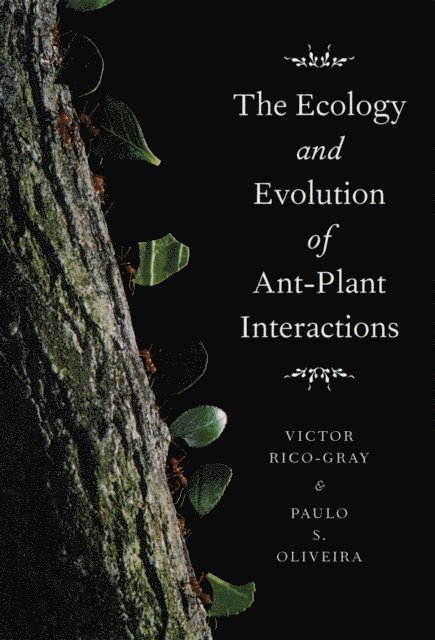 Paulo S. Oliveira, Victor Rico-Gray - Ecology and Evolution of Ant-Plant Interactions, E-bok