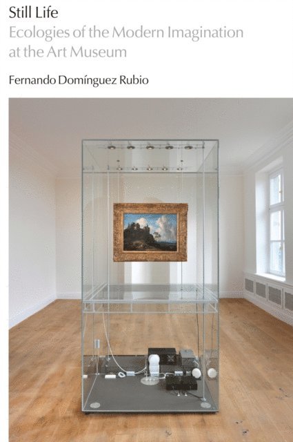 Fernando Dominguez Rubio - Still Life, E-bok