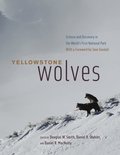 Yellowstone Wolves