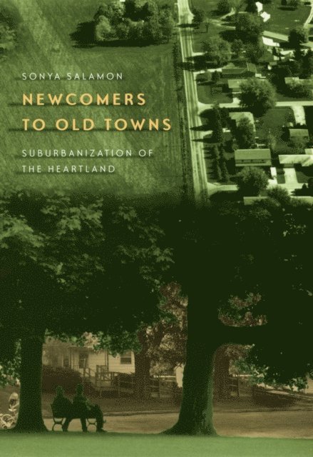 Sonya Salamon - Newcomers to Old Towns, E-bok