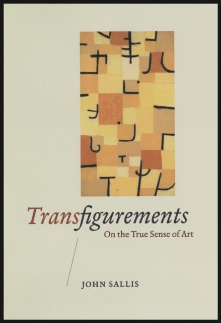 John Sallis - Transfigurements, E-bok