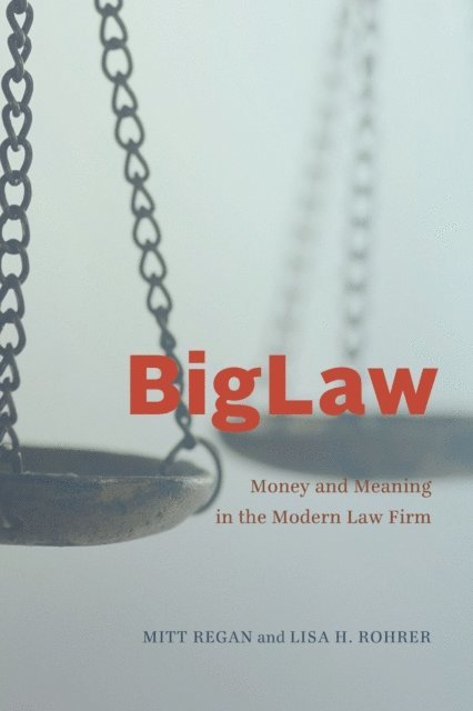 Lisa H. Rohrer, Mitt Regan - BigLaw, E-bok