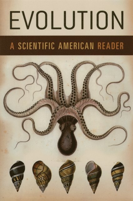 Scientific American - Evolution, E-bok
