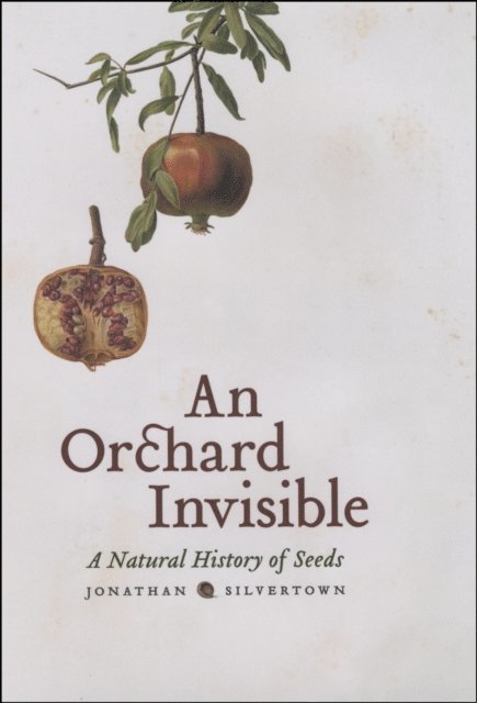 Jonathan Silvertown - Orchard Invisible, E-bok
