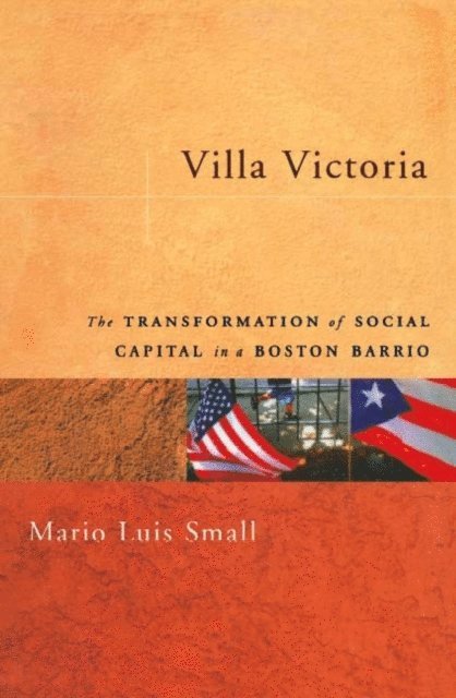 Mario Luis Small - Villa Victoria, E-bok
