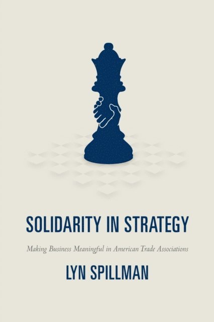 Lyn Spillman - Solidarity in Strategy, E-bok