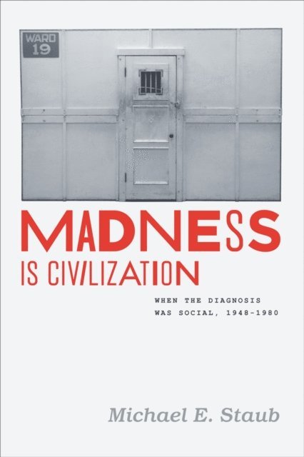 Michael E. Staub - Madness Is Civilization, E-bok