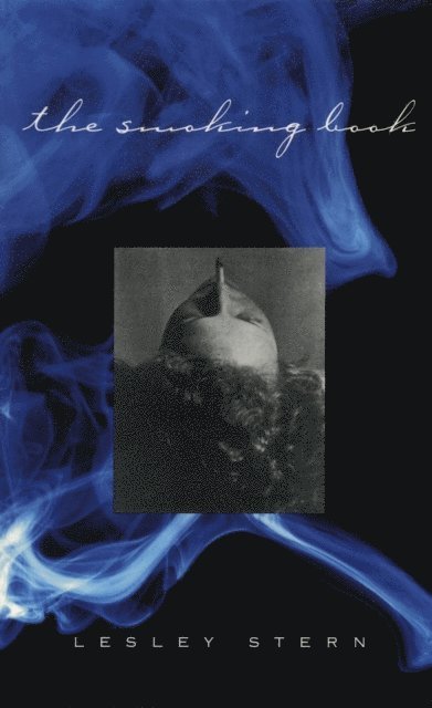 Lesley Stern - Smoking Book, E-bok