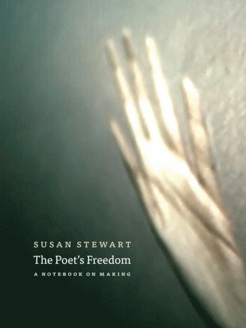 Susan Stewart - Poet's Freedom, E-bok