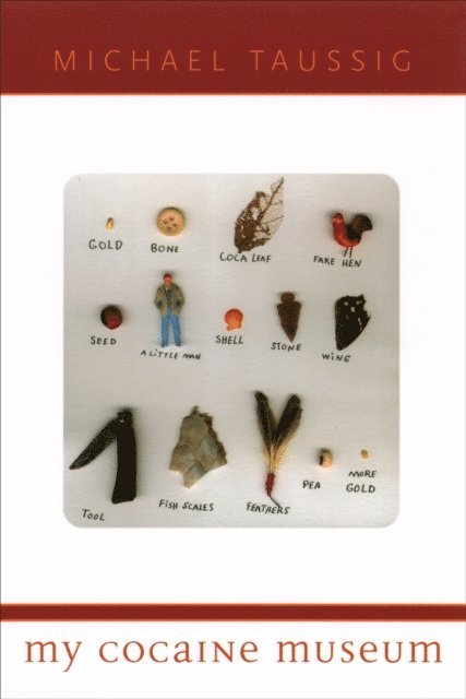 Michael Taussig - My Cocaine Museum, E-bok