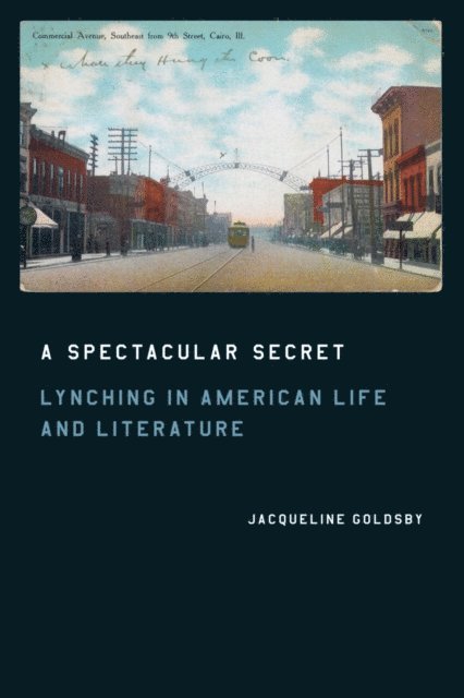 Jacqueline Goldsby - Spectacular Secret, E-bok