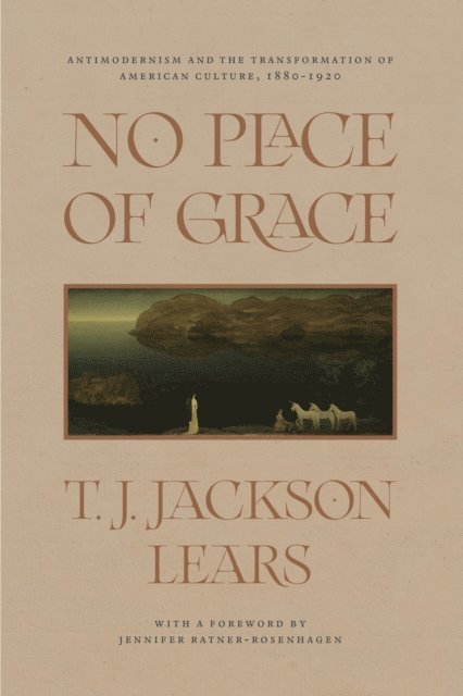 T. J. Jackson Lears - No Place of Grace, E-bok