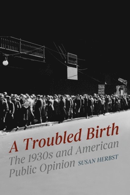 Susan Herbst - Troubled Birth, E-bok