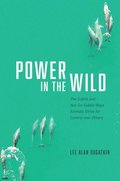 Power in the Wild