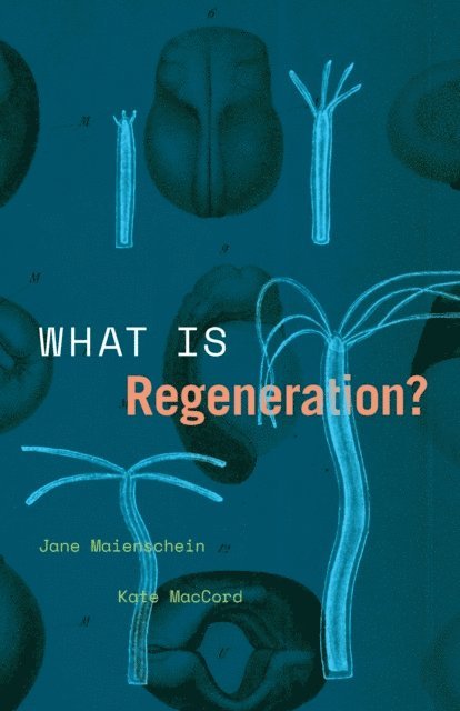 Kate MacCord, Jane Maienschein - What Is Regeneration?, E-bok