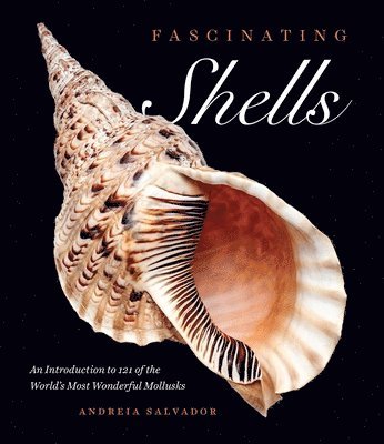 Andreia Salvador - Fascinating Shells: An Introduction to 121 of the World's Most Wonderful Mollusks, Inbunden