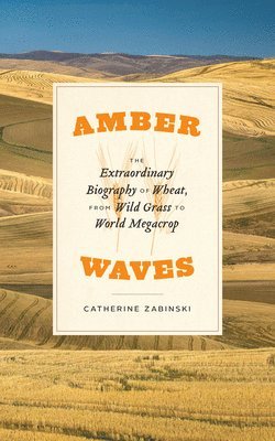 Catherine Zabinski - Amber Waves, Häftad. Tillgänglighet: Lägg i varukorg