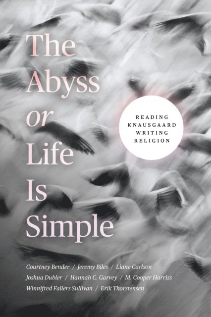 Erik Thorstensen, Winnifred Fallers Sullivan, M. Cooper Harriss, Hannah C. Garvey, Joshua Dubler, Liane Carlson, Jeremy Biles, Courtney Bender - Abyss or Life Is Simple, E-bok