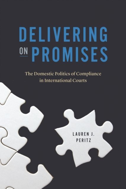 Lauren J. Peritz - Delivering on Promises, E-bok