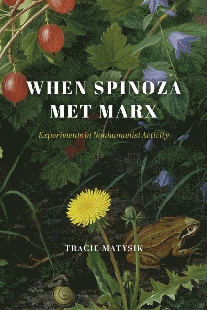 Tracie Matysik - When Spinoza Met Marx, E-bok