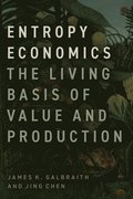 Entropy Economics