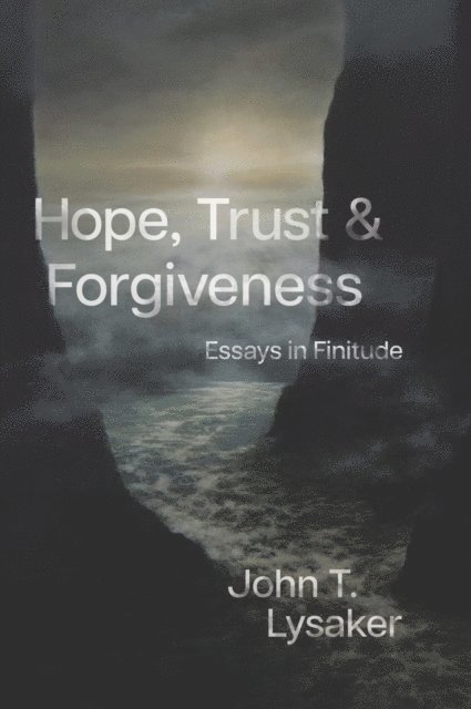 John T. Lysaker - Hope, Trust, and Forgiveness, E-bok