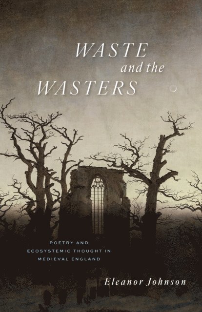 Eleanor Johnson - Waste and the Wasters, E-bok