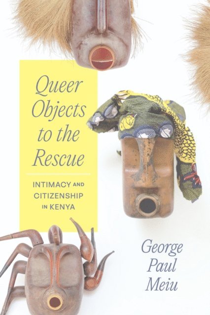 George Paul Meiu - Queer Objects to the Rescue, E-bok