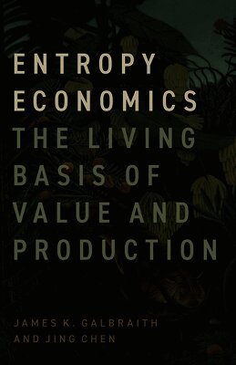 Entropy Economics