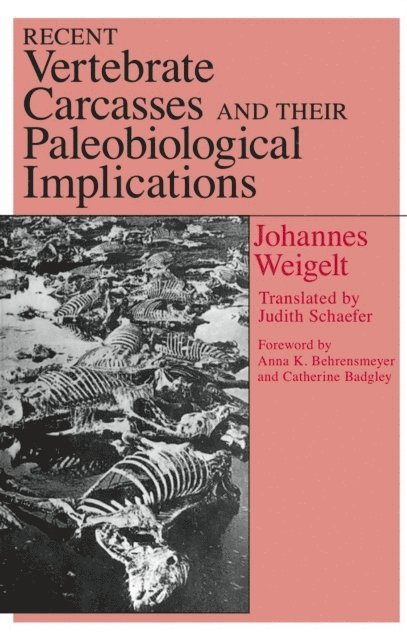 Johannes Weigelt - Recent Vertebrate Carcasses and Their Paleobiological Implications, E-bok