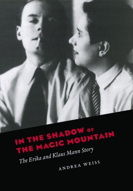 Andrea Weiss - In the Shadow of the Magic Mountain, E-bok