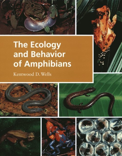Kentwood D. Wells - Ecology and Behavior of Amphibians, E-bok