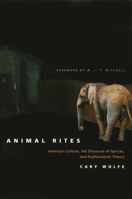 Cary Wolfe - Animal Rites, E-bok