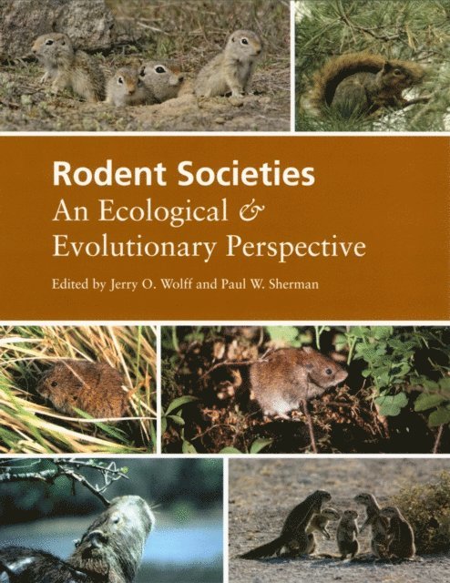 Paul W. Sherman, Jerry O. Wolff - Rodent Societies, E-bok