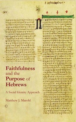 Matthew J. Marohl - Faithfulness and the Purpose of Hebrews, Häftad