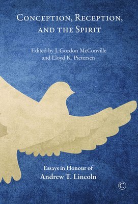 J. Gordon McConville, Lloyd K. Pietersen - Conception, Reception, and the Spirit, Häftad