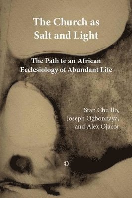 Alex Ojacor, Joseph Ogbonnaya, Stan Chu Ilo - Church as Salt and Light, Häftad