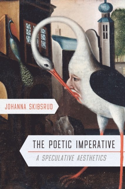 Johanna Skibsrud - Poetic Imperative, E-bok