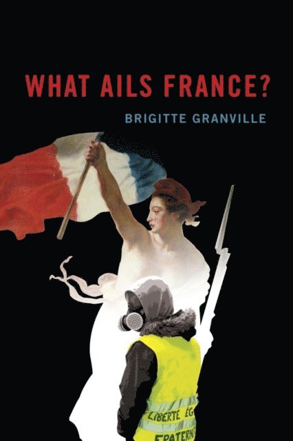 Brigitte Granville - What Ails France?, E-bok