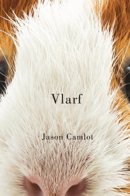 Jason Camlot - Vlarf, E-bok