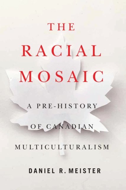 Daniel R. Meister - Racial Mosaic, E-bok