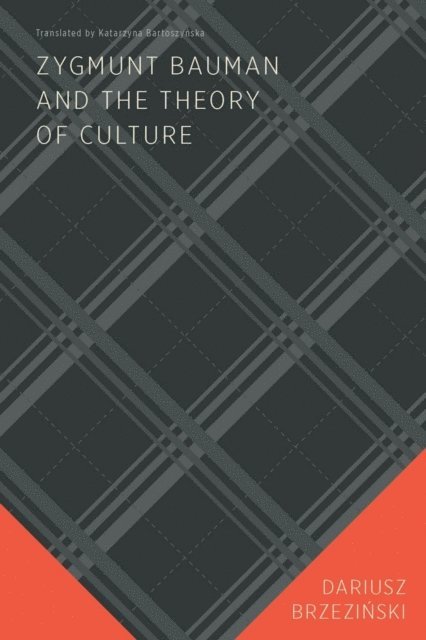 Dariusz Brzezinski - Zygmunt Bauman and the Theory of Culture, E-bok