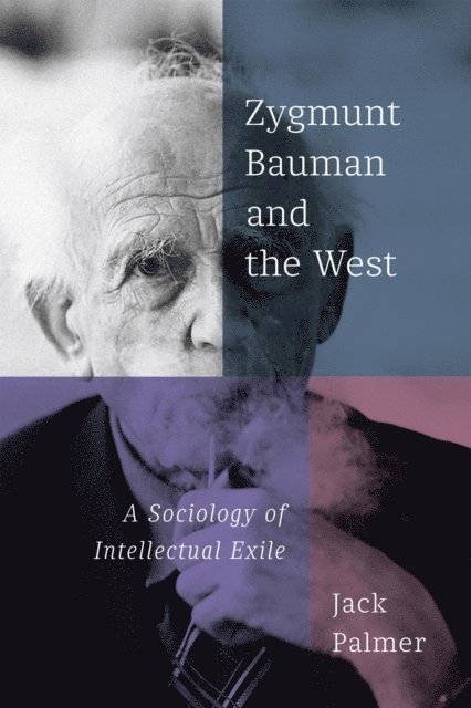 Jack Palmer - Zygmunt Bauman and the West, E-bok