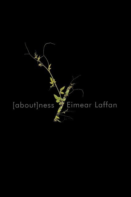 Eimear Laffan - aboutness, E-bok